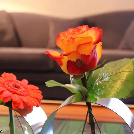 호텔 마제스틱 루르드