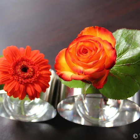 Ξενοδοχείο Majestic 3*